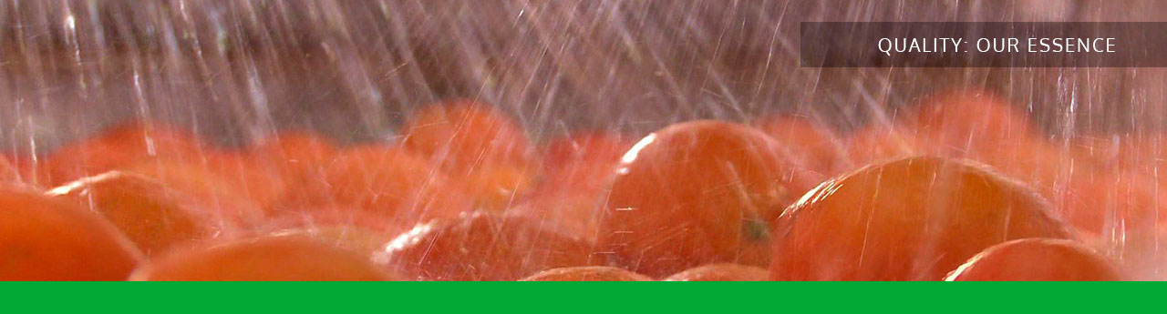 Agriconsa, quality, juices, laboratory, traceability, control, canned fruit, orange, persimmon, tangerine, kaki, caqui, grape, peach, certificates, iso, brc, ifs, smeta, Spain, Valencia, Europe, EU